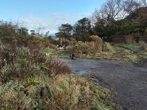 Cleaning up Perotti Park