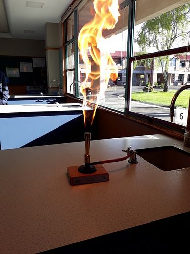 The University of Otago trophy works!