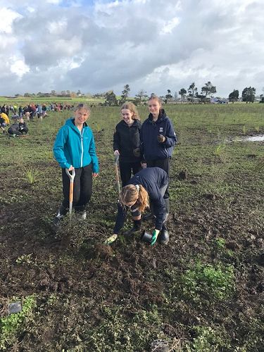 Arbor Day Community Planting at Waiwhakareke