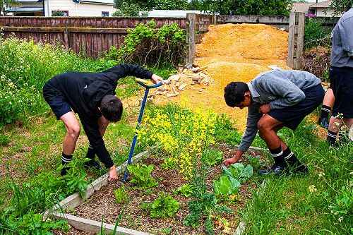 Year 10 Horticulture 