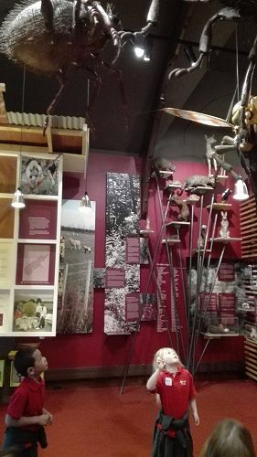 Team Awa's Visit to the Art Gallery and Museum