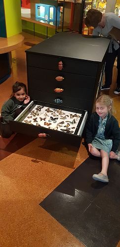 Awa's Trip to the Canterbury Museum
