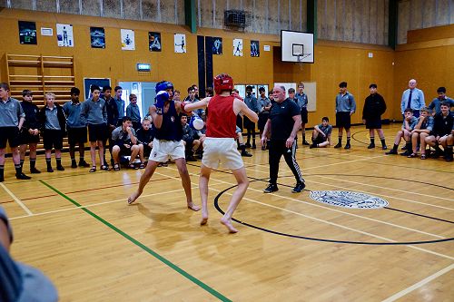 Junior Boxing Finals