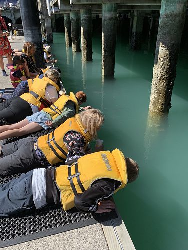 KIT Day Maritime Museum, Observing our sealife