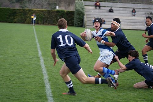 2nd XV v Napier Boys' High School - Thursday 27 August
