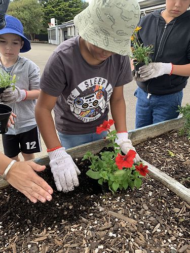 Planting flowers at Linden School