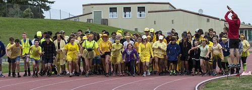 House Walk - McAuley