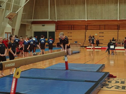 Gymnastics Festival 2016