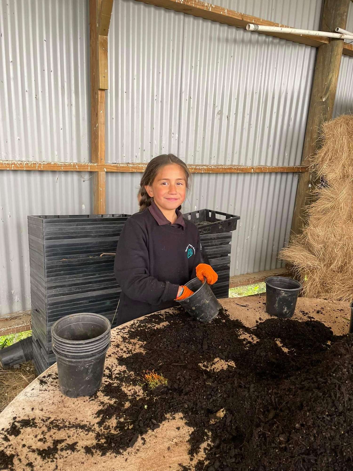 Tauhara Primary School