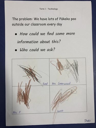 Harakeke Technology Problem