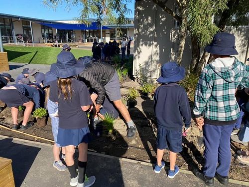 Community Planting day