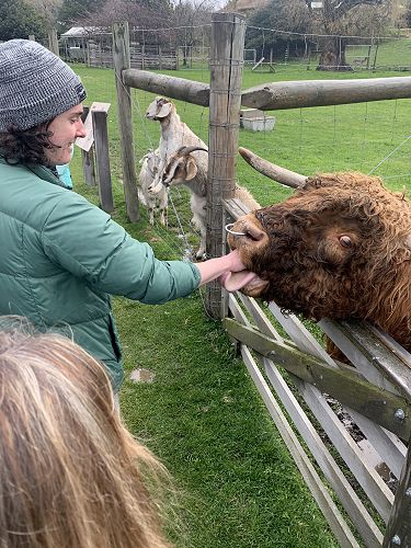 Kyan Martin-Smith with Hamish the Scottish Highland Bull