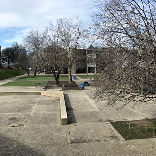 Lockdown Photo Competition