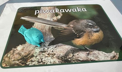 NZSL Hub Bird playdough 