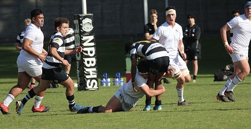 1st XV vs New Plymouth Boys' High School