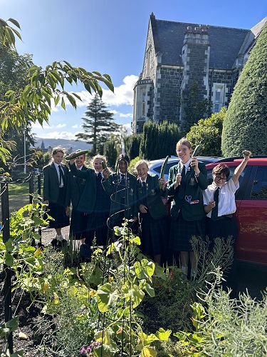 Year 8: Cucumber season