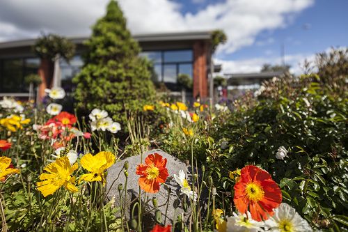 Dunedin - Hope and Sons