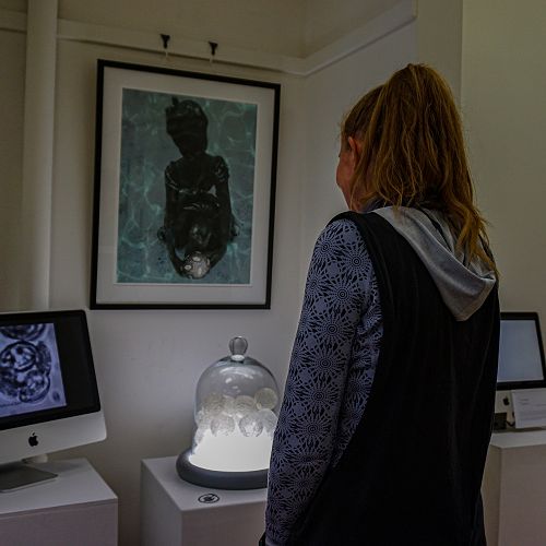 Too hot to handle at 20° warming? (2022), by Down The Rabbit Hole Collective, multimedia work comprising a framed photograph, a video work, and 3D coccolithophone models under a bell jar on a light table