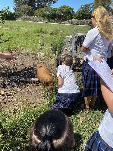 Environmental Sustainability 2023