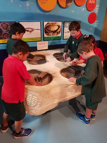 Awa's Trip to the Canterbury Museum