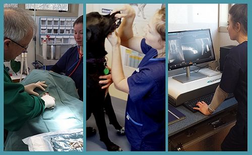 Our Difference: Owner-operated. This means friendl