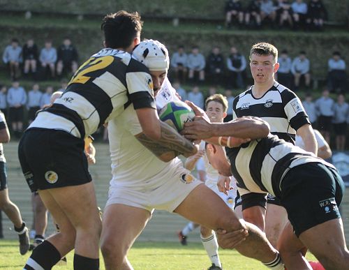 1st XV vs New Plymouth Boys' High School