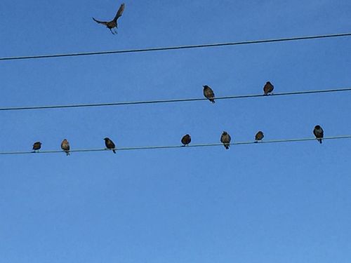 Zooming in....Spirits Connected