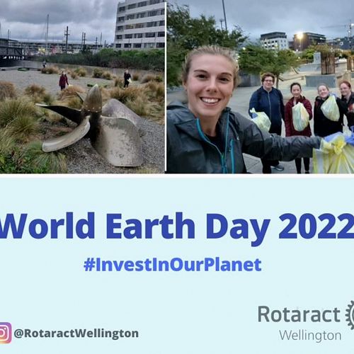 Wellington's clean up