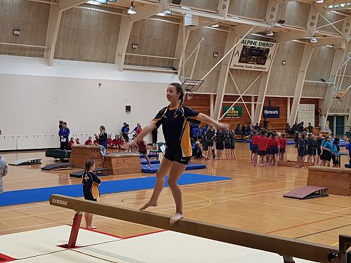 Gymnastics 2017