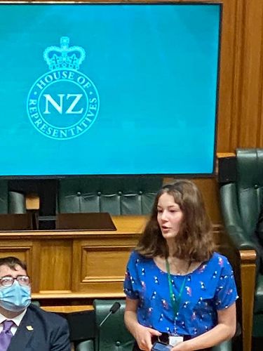 Tamara Livingstone in Parliament