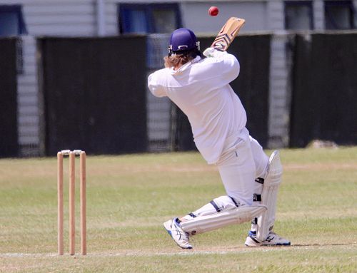 2001 Cricket Reunion