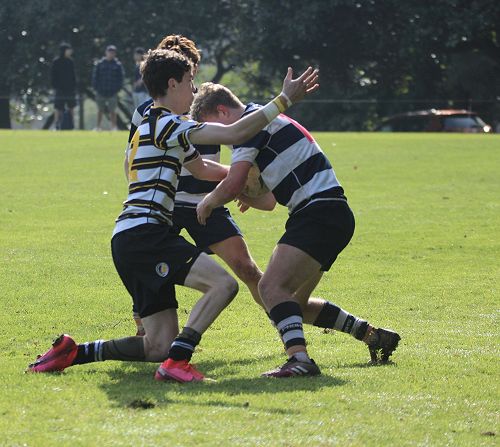 2nd XV vs New Plymouth Boys' High School