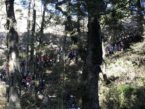 Adventures at Year 7 Camp survival. 