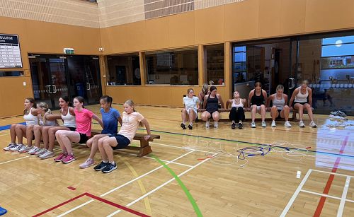 Tricep Dips for the win