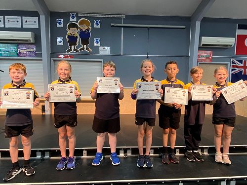 Room 11 Class councillors