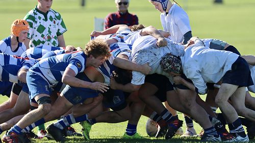 3rd XV v. Napier Boys' High School