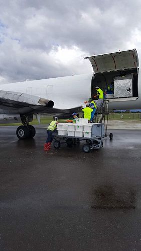 Te Anua Charter Flight