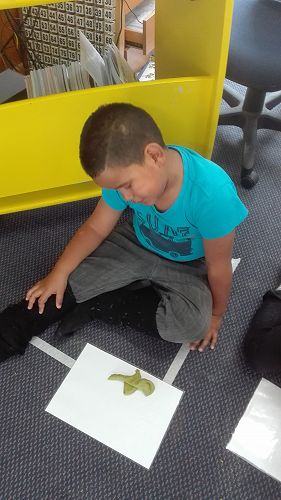 Measurement - week one