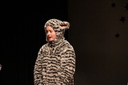 Junior Christmas Show