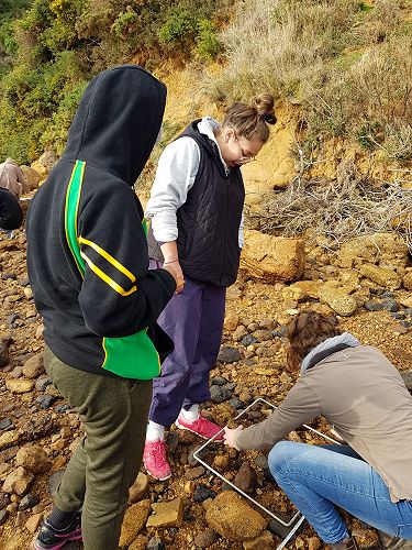 Zoe Diedricks, Kauri Te Moananui-Gamble and Harriet Stock survey the shore to investigate the distribution of crab species in Portobello.