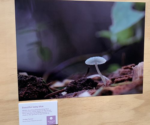 Jordan Turner x Otago Museum Tūhura Photography Competition
