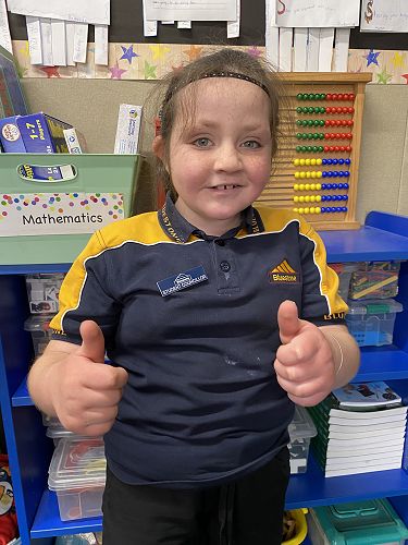 Romy class councillor