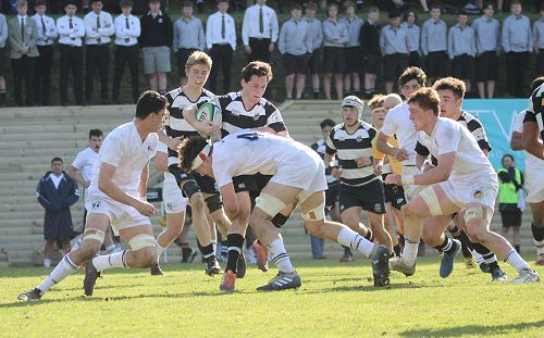 1st XV vs New Plymouth Boys' High School