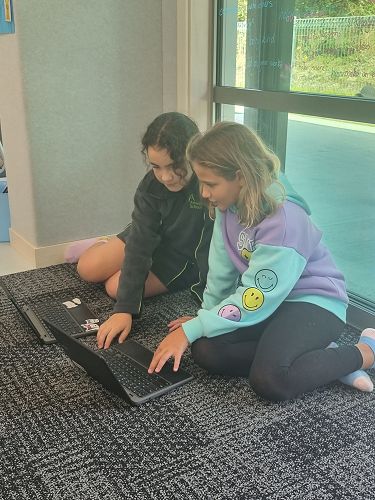 Pair work, supporting each other in Pōhutukawa