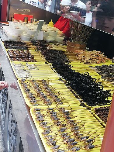 Scorpions, Tarantulas, Starfish, Snakes, Bugs etc