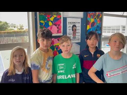 Video: Bird of the Year #2   SD 480p