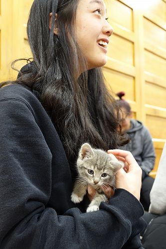 Cuddle Fix - 10 June 2018