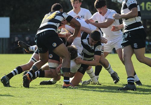 1st XV vs New Plymouth Boys' High School