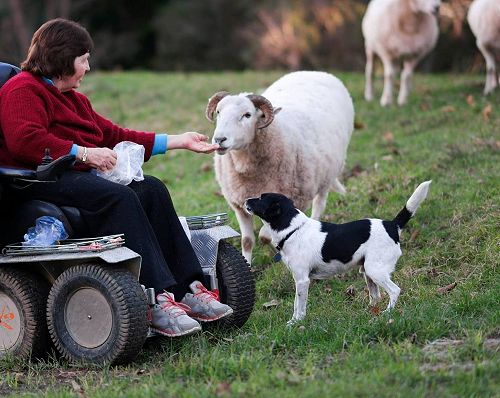 Gaylene Mackereth on the farm
