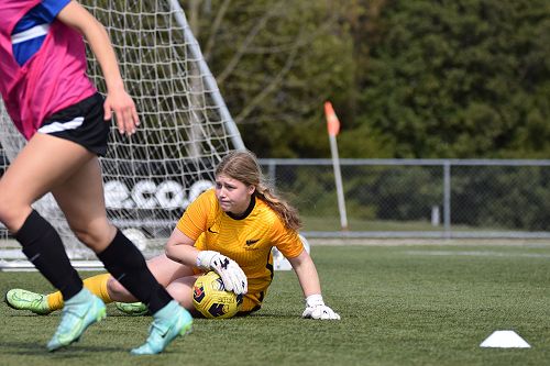 Charlotte saves the day!